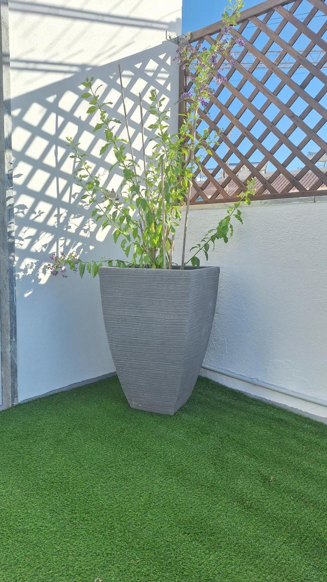 Apartamento Casa Rafinha *